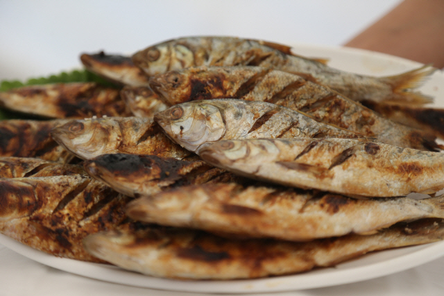 서천 홍원항 자연산 전어 꽃게 축제 전어철 전어회