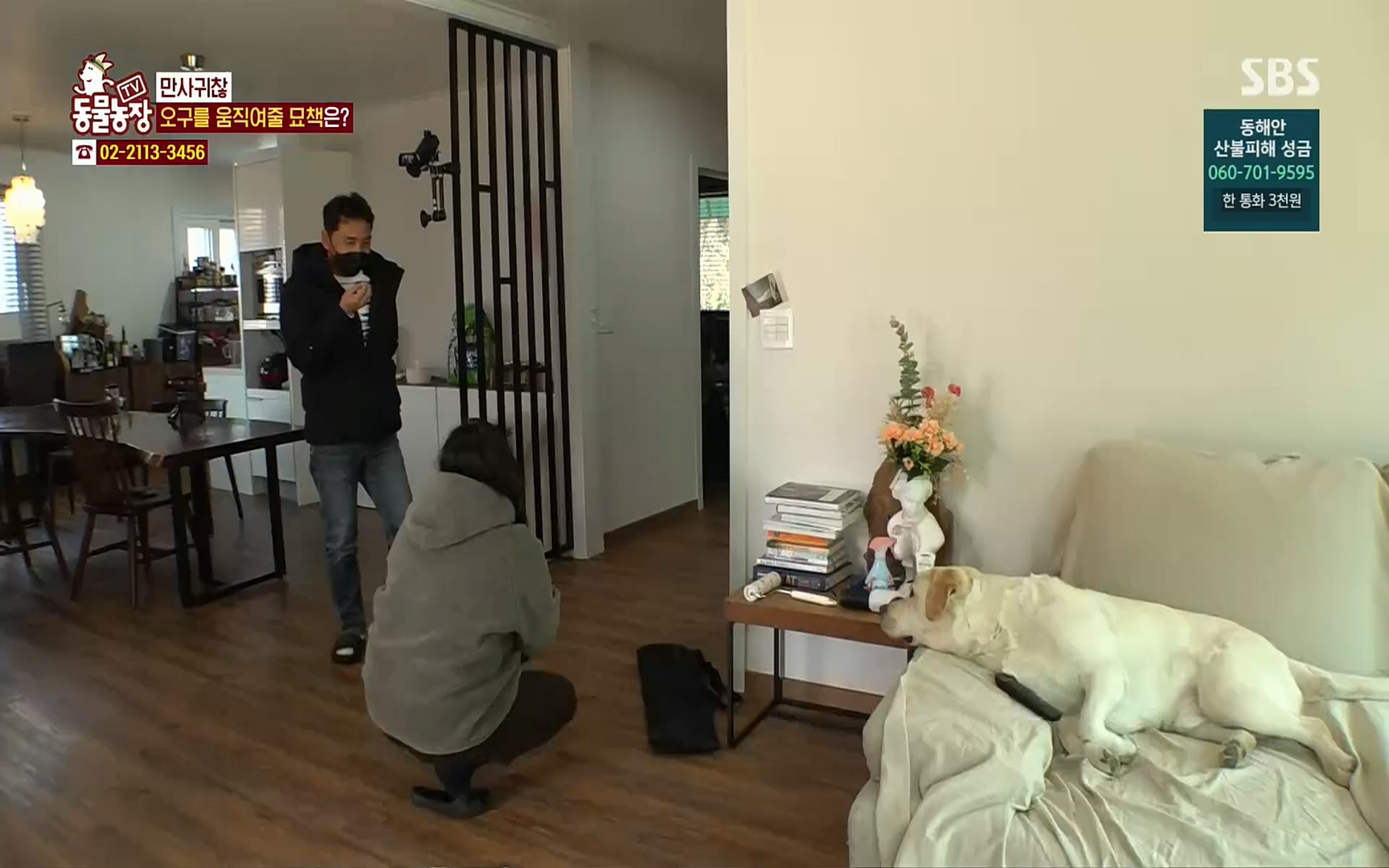 TV 동물농장.E1062.220327p.H264-F1RST.mp4_20220327_174420.688.jpg