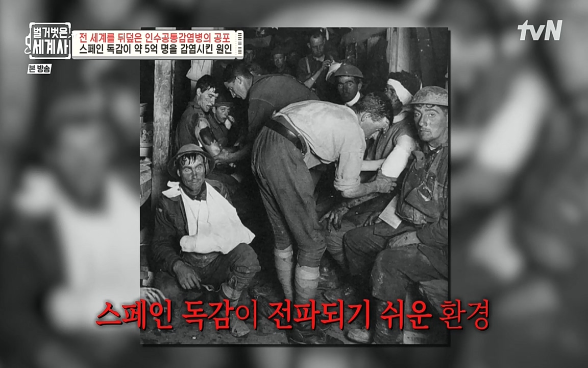 벌거벗은 세계사.E59.220810p-NEXT.mp4_20220810_212424.828.jpg