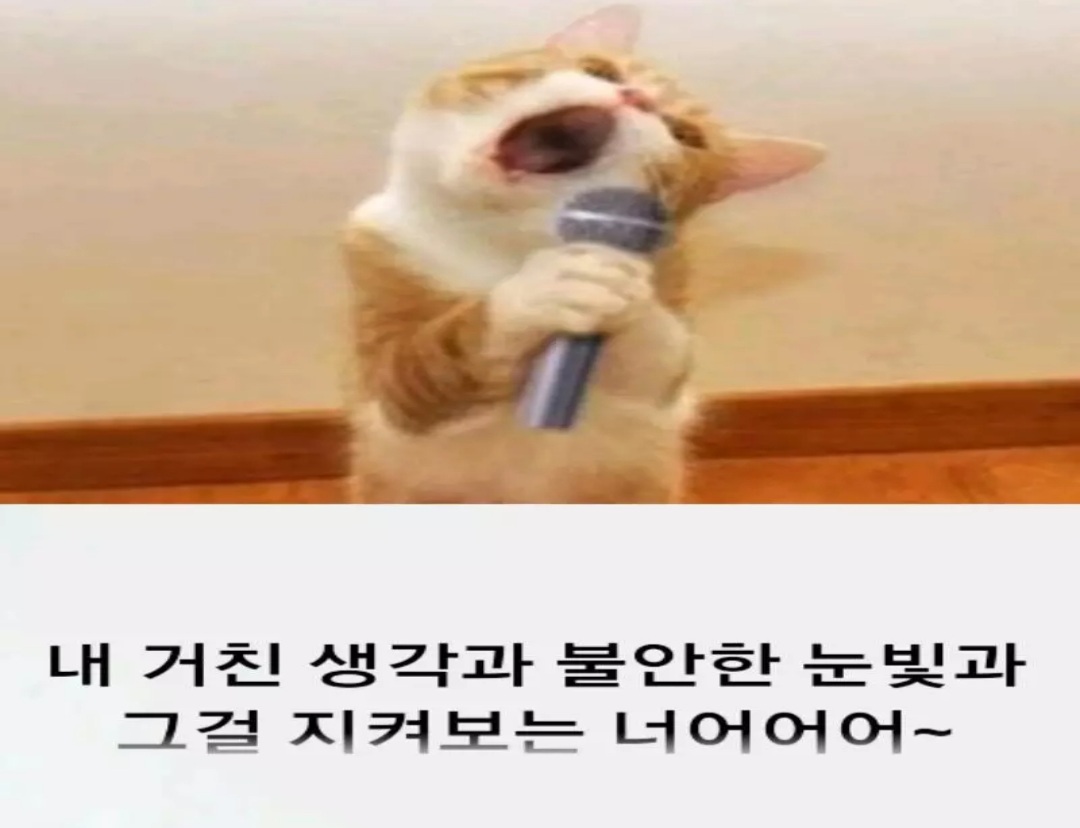 연하횟집 이미지