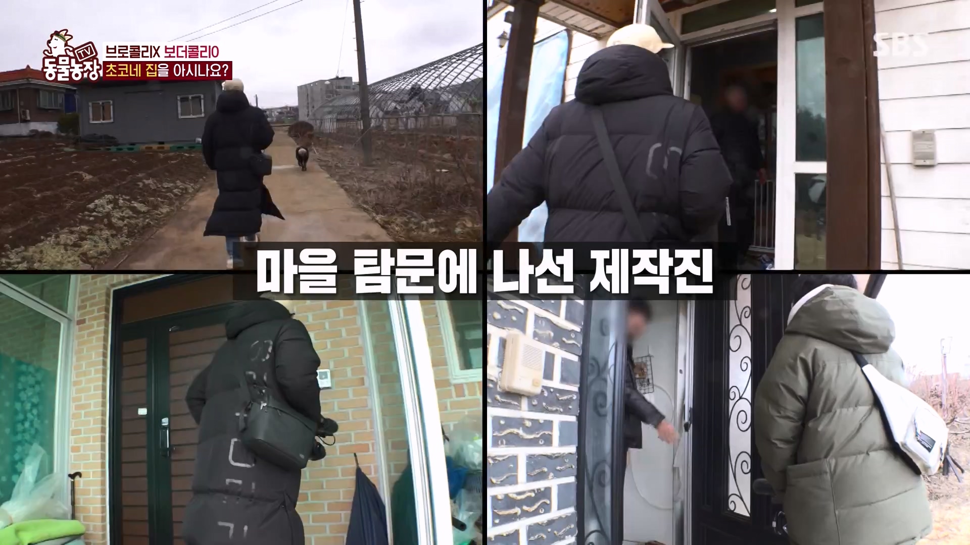 TV 동물농장.E1161.240303p-NEXT.mp4_20240303_172255.748.jpg
