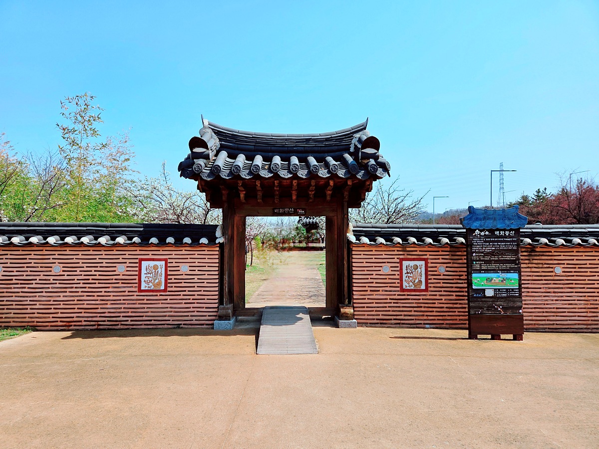 2025년 경인 아라뱃길 매화동산, 인천 매화마을: 주차, 먹거리