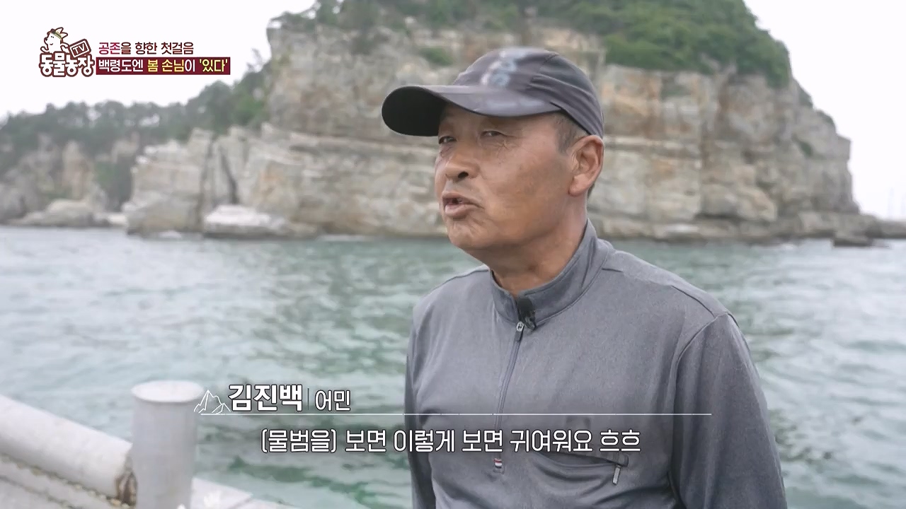 TV 동물농장.E1183.240805p-NEXT.mp4_20240804_155001.370.jpg