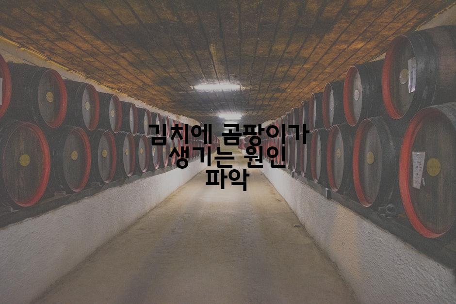 김치에 곰팡이가 생기는 원인 파악