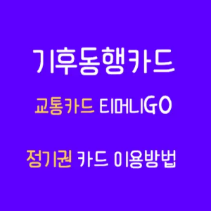 기후동행카드-교통카드-티머니go-정기권 카드 이용방법