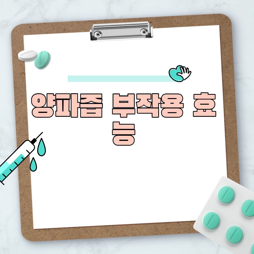 양파즙 부작용 효능