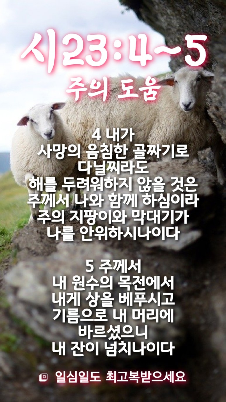 23년 3월 1일(수,삼일절) 내 2