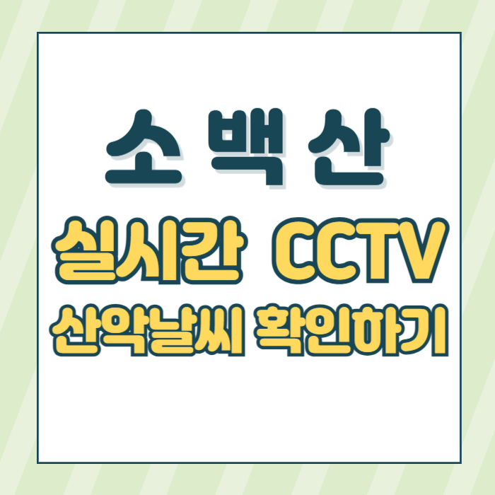 소백산cctv썸네일