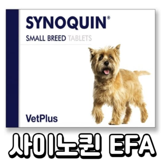 강아지-관절
강아지-영양제
사이노퀸
사이노퀸 EFA