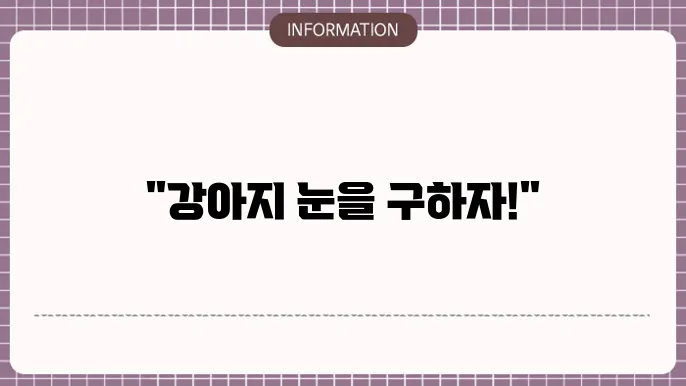 강아지 백내장 수술비용 항목별 현황