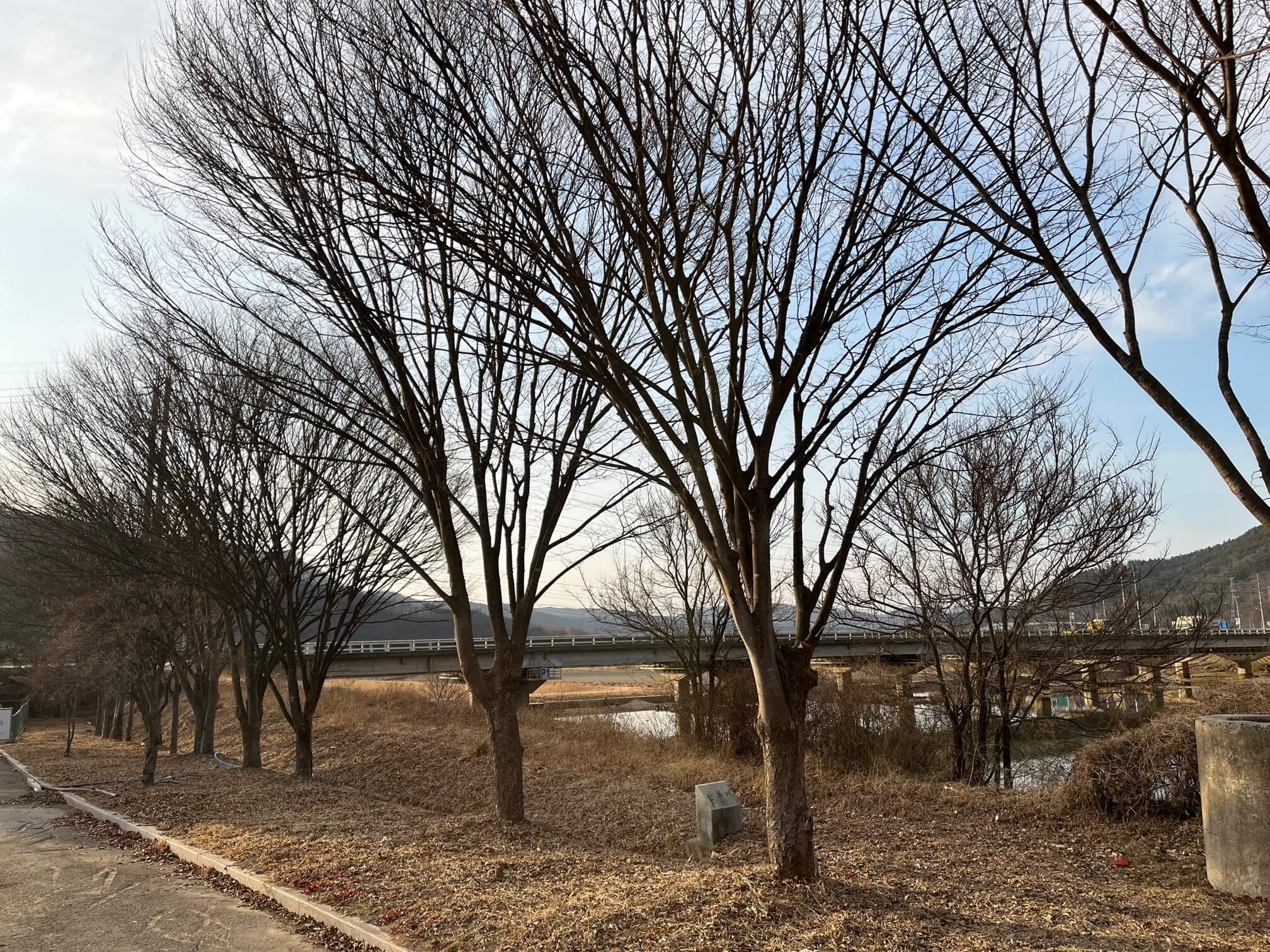군위 참좋은 한우 식당가는길입니다