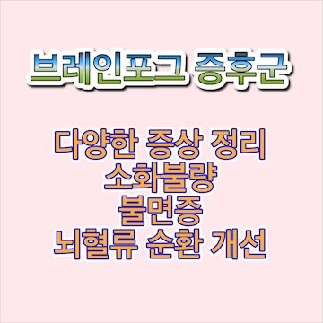 브레인포그-증후군-증상