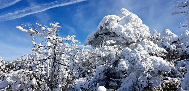 제주 한라산 설경 겨울왕국
