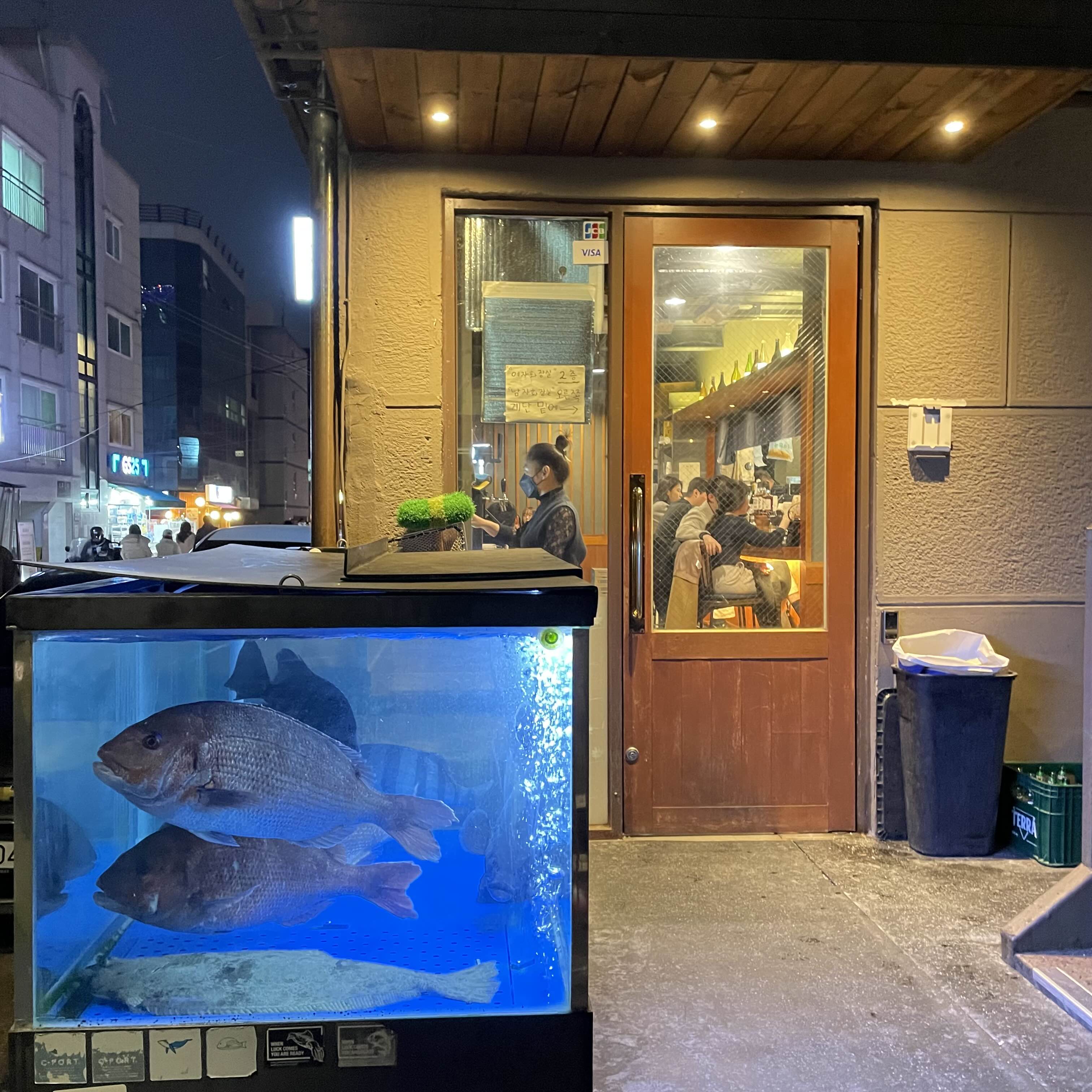 물고기주택(mulgogi_house)