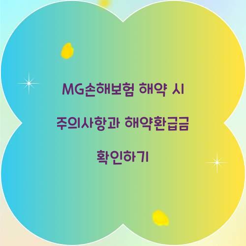 MG손해보험 해약