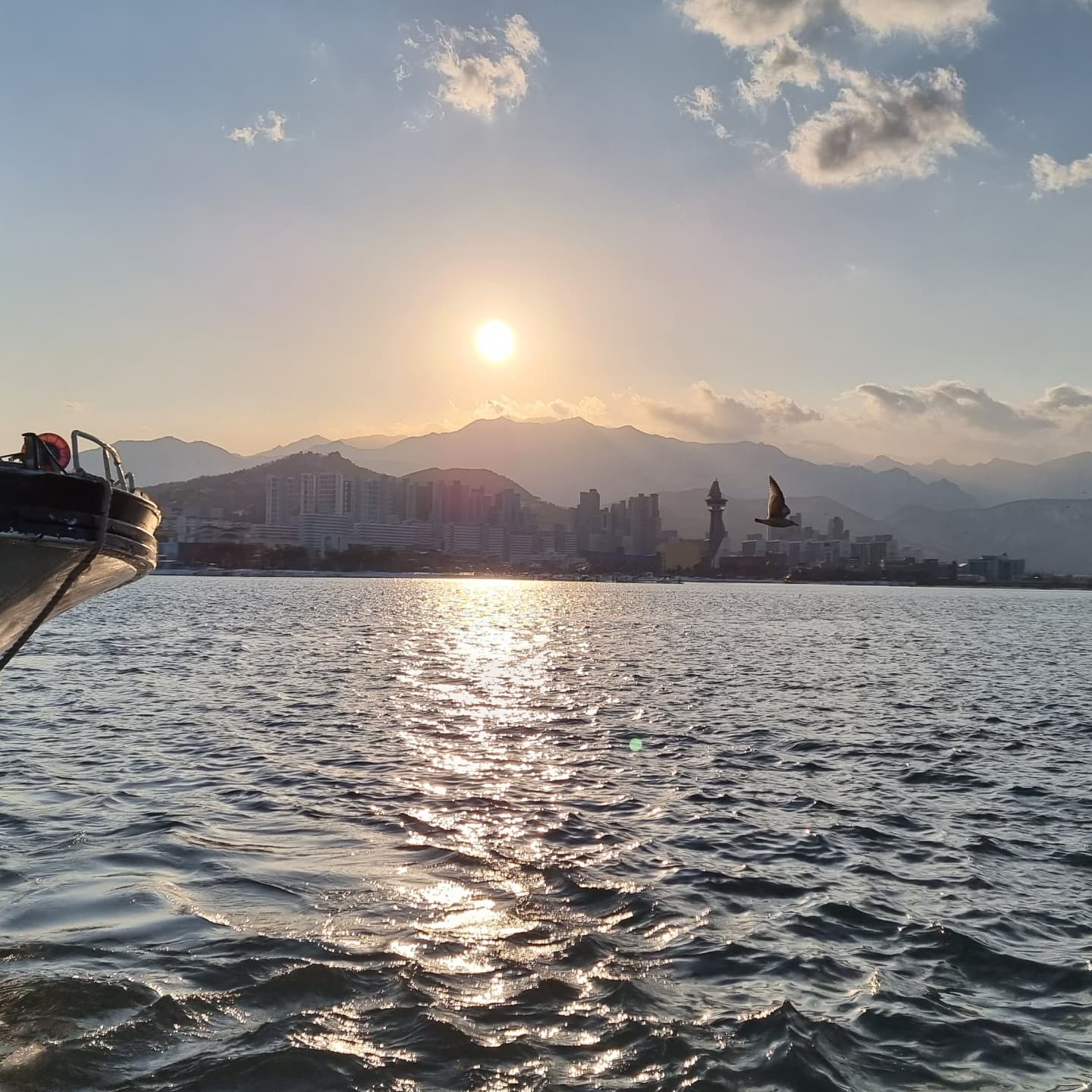  청초호