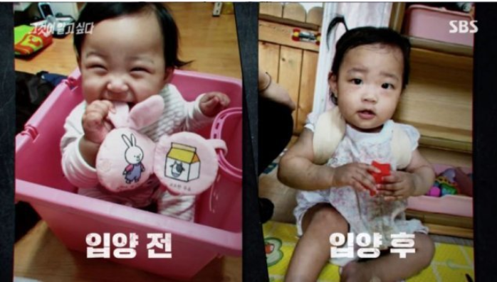 정인이 재판 증언 양모의 너무 충격적인 발언(+결과 양부모 인스타 신상 얼굴)