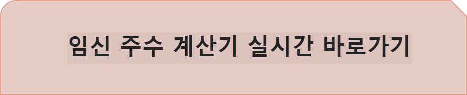 안내