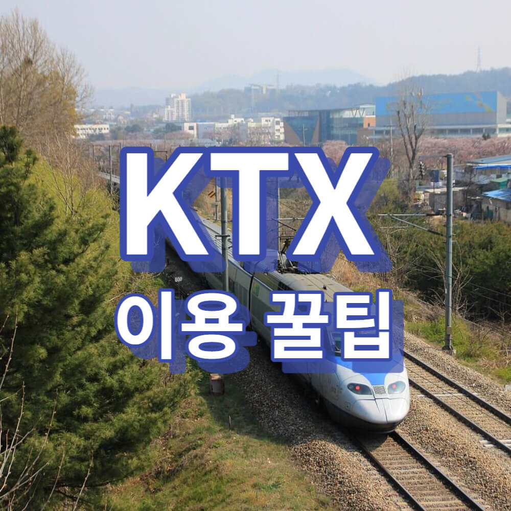 KTX 이용 꿀팁