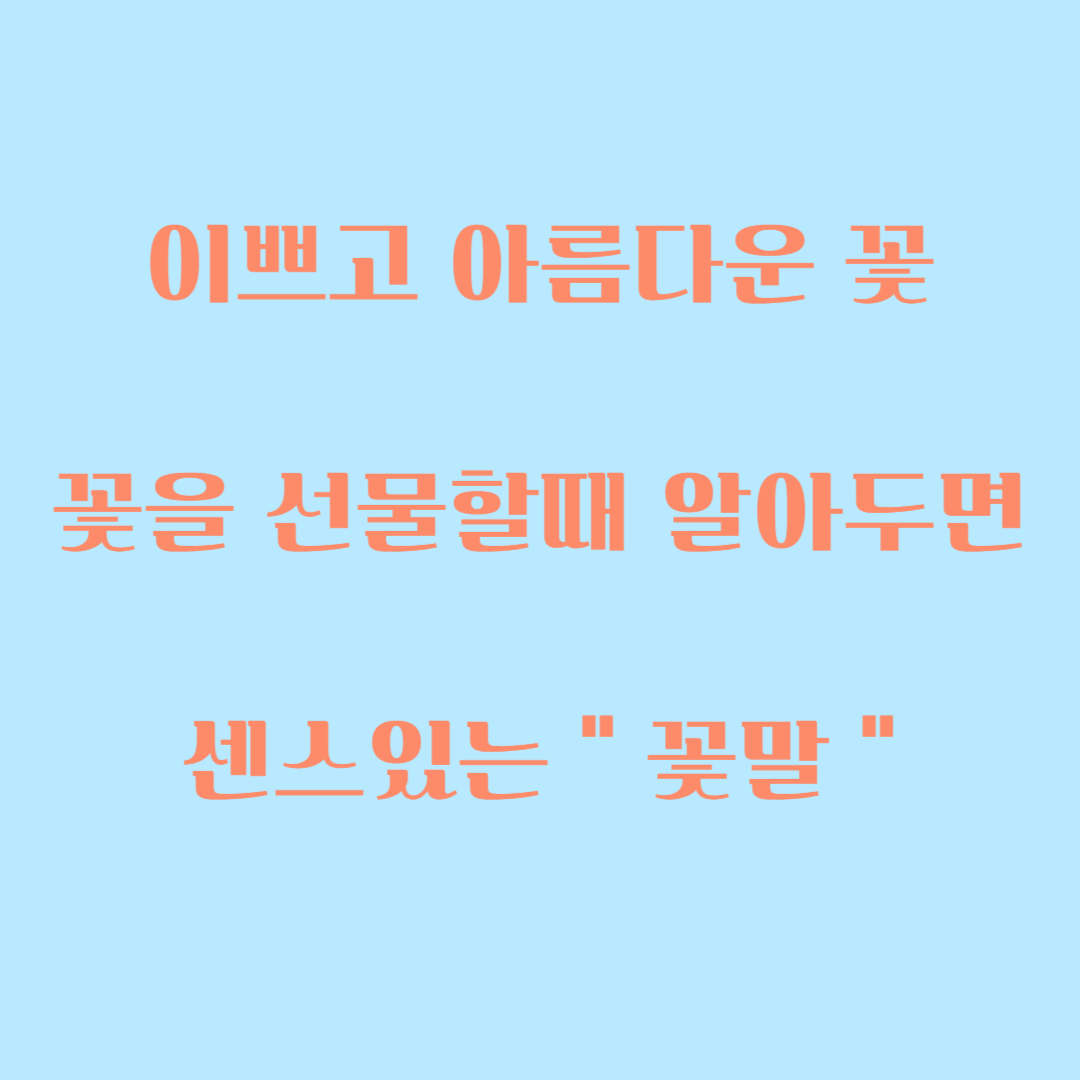  꽃말 이야기, 다양한 꽃의 숨겨진 꽃말을 알아보자.
