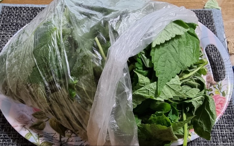 7월제철반찬 깻잎순나물볶음 10