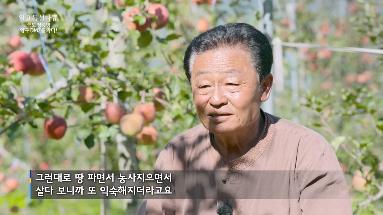 일요특선 다큐멘터리.E344.231204p-NEXT.mp4_20231206_194841.278.jpg