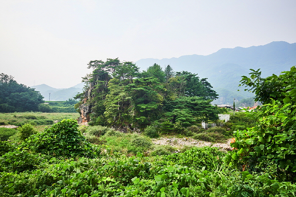 단양 수운정