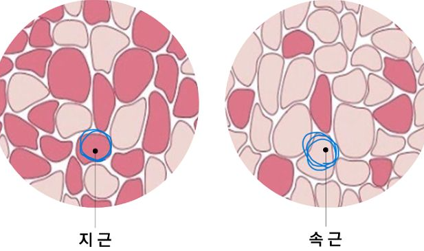  고덕헬스장 근육이 있어야 살이 찌지 않아요