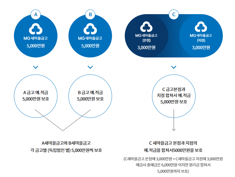 새마을 금고 예금자보호&amp;#44; 특별점검