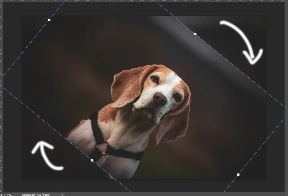 어도비 포토샵에서 ctrl과 T를 누른 후 이미지를 회전시킨 모습