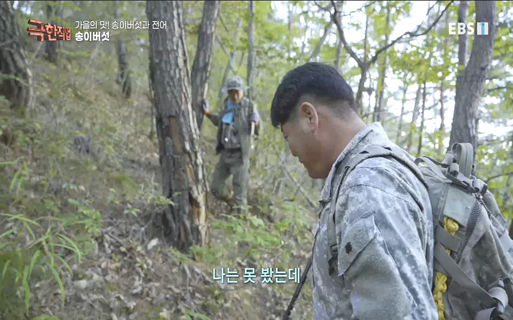송이버섯과 전어 221008.mp4_20221012_213440.890.jpg