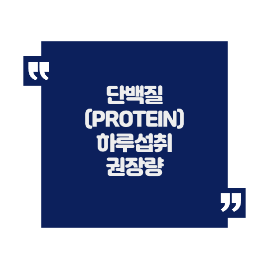  단백질 (protein) 하루 권장 섭취량 정리
