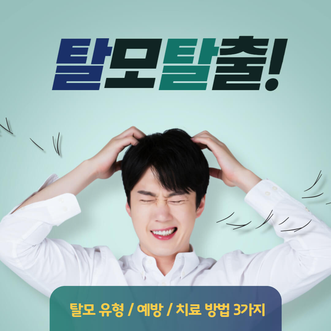  탈모 유형 예방 치료 방법 3가지