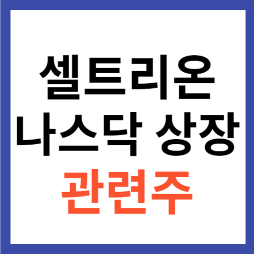 셀트리온 나스닥 상장 관련주 TOP 대장주 셀트리온홀딩스