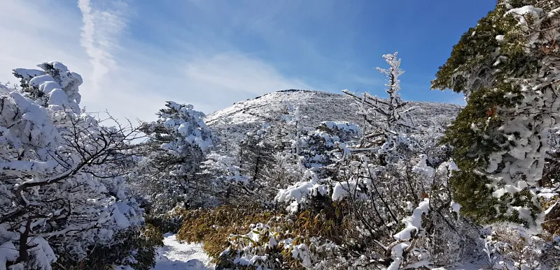 제주 한라산 설경 겨울왕국