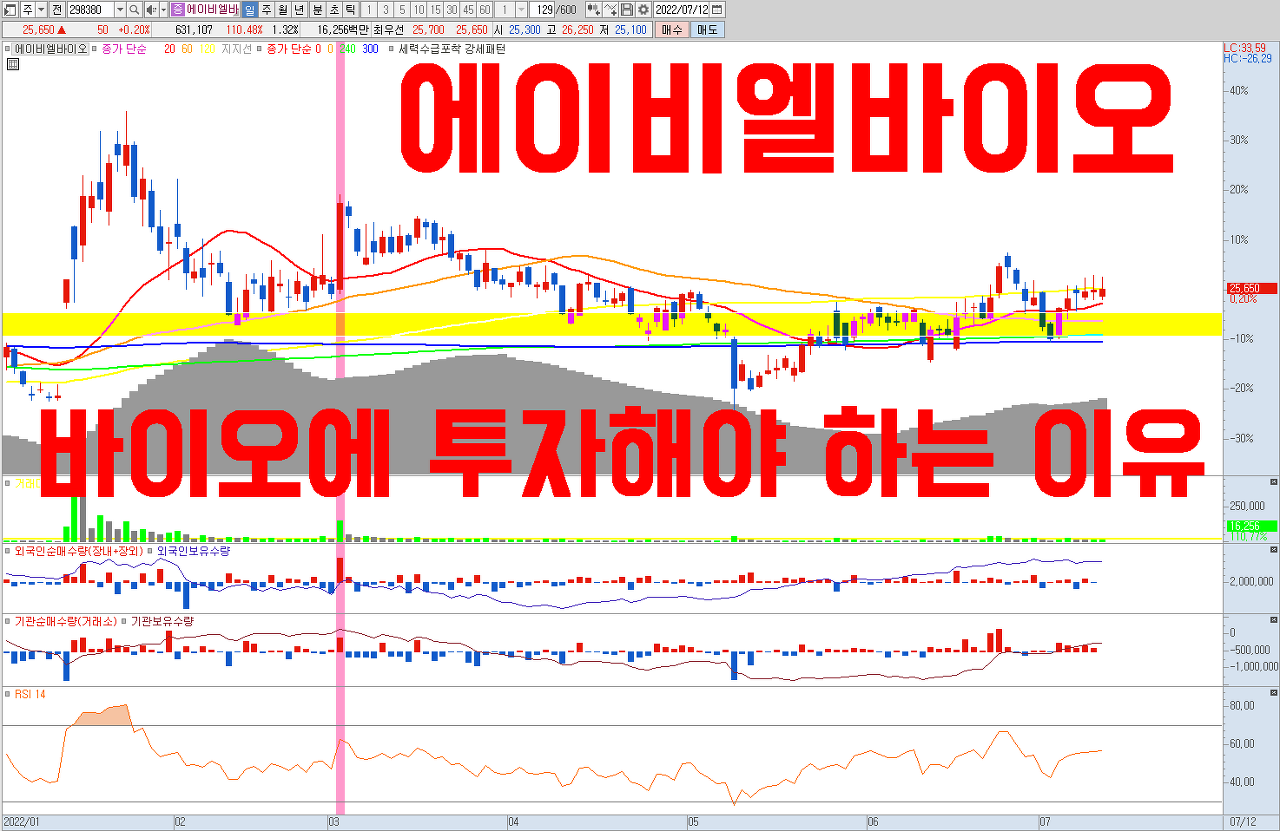  바이오에 투자해야 하는 이유 | 이중항체 플랫폼 최강자 에이비엘바이오 주식전망