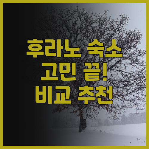 후라노 여행, 숙소 고민 끝! '호텔