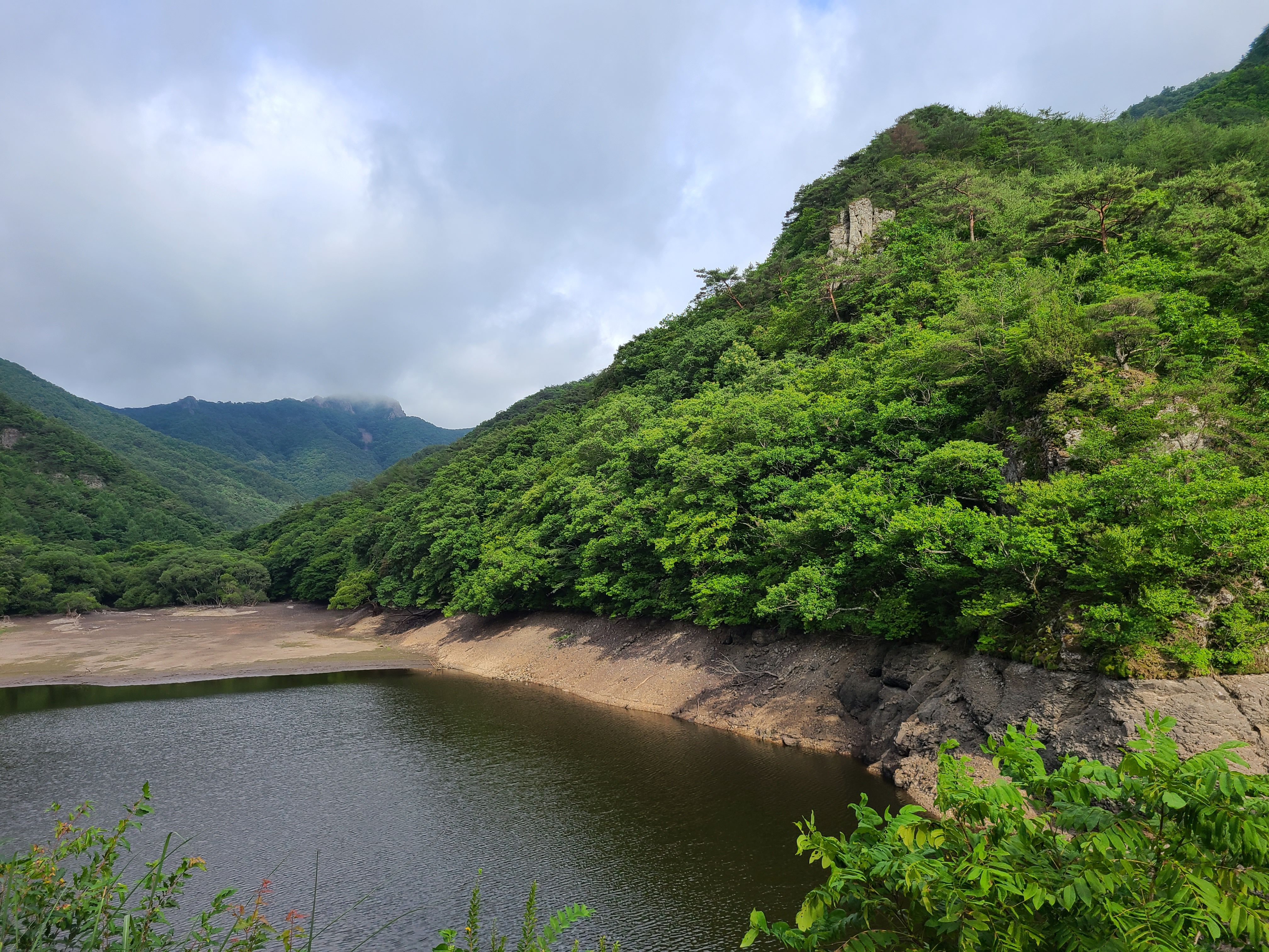 매마른 주산지 모습