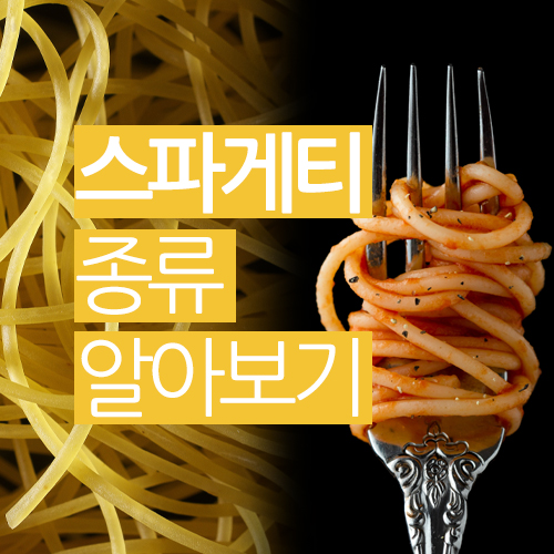  스파게티의 종류 많기도 합니다.