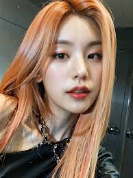 로제 사진