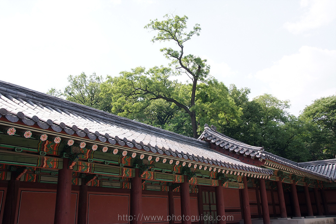 창덕궁 Changdeokgung Palace