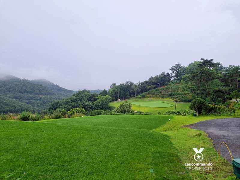 연예인 골프 순위 연예인들이 참여하는 2
