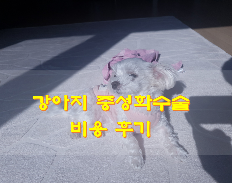  강아지 중성화수술비용 후기