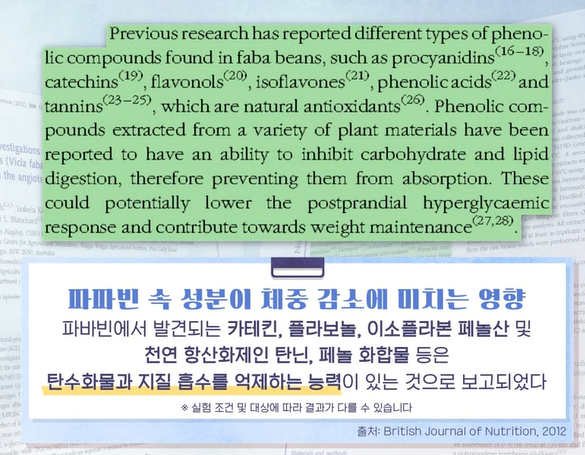 자이언트 파바빈