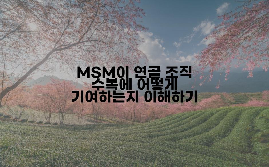 MSM이 연골 조직 수복에 어떻게 기여하는지 이해하기