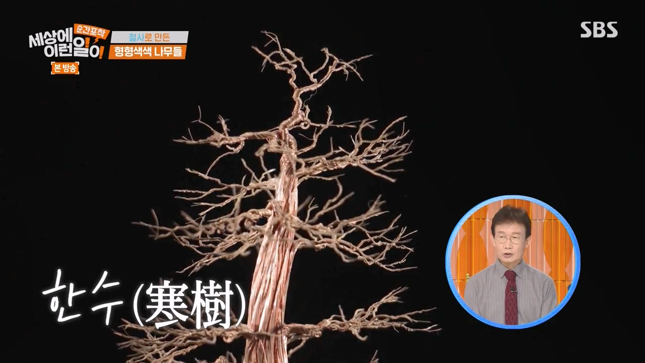 순간포착 세상에 이런일이.E1250.231029p-NEXT.mp4_20231029_152828.416.jpg