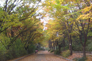 안산산책로