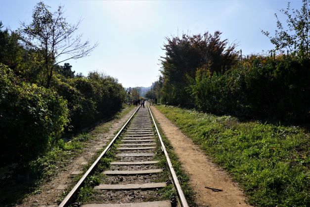 선로&#44; 끝이 안보이는 직선 주로&#44; 양 옆에 나무 숲&#44; 밝지 않은 푸른 하늘&#44;