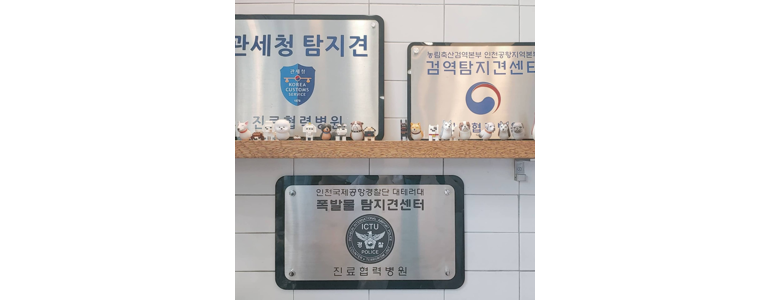 인천 옹진군 동물병원