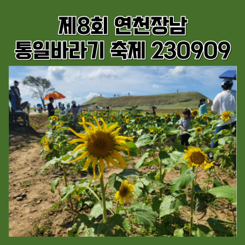 제8회 연천장남 통일바라기 축제 230909
